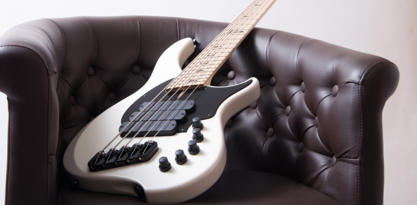 Zoom sur : les basses Dingwall