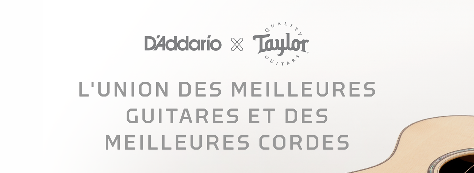 Les cordes XS D'Addario sont désormais les cordes qui équipent les guitares  Taylor