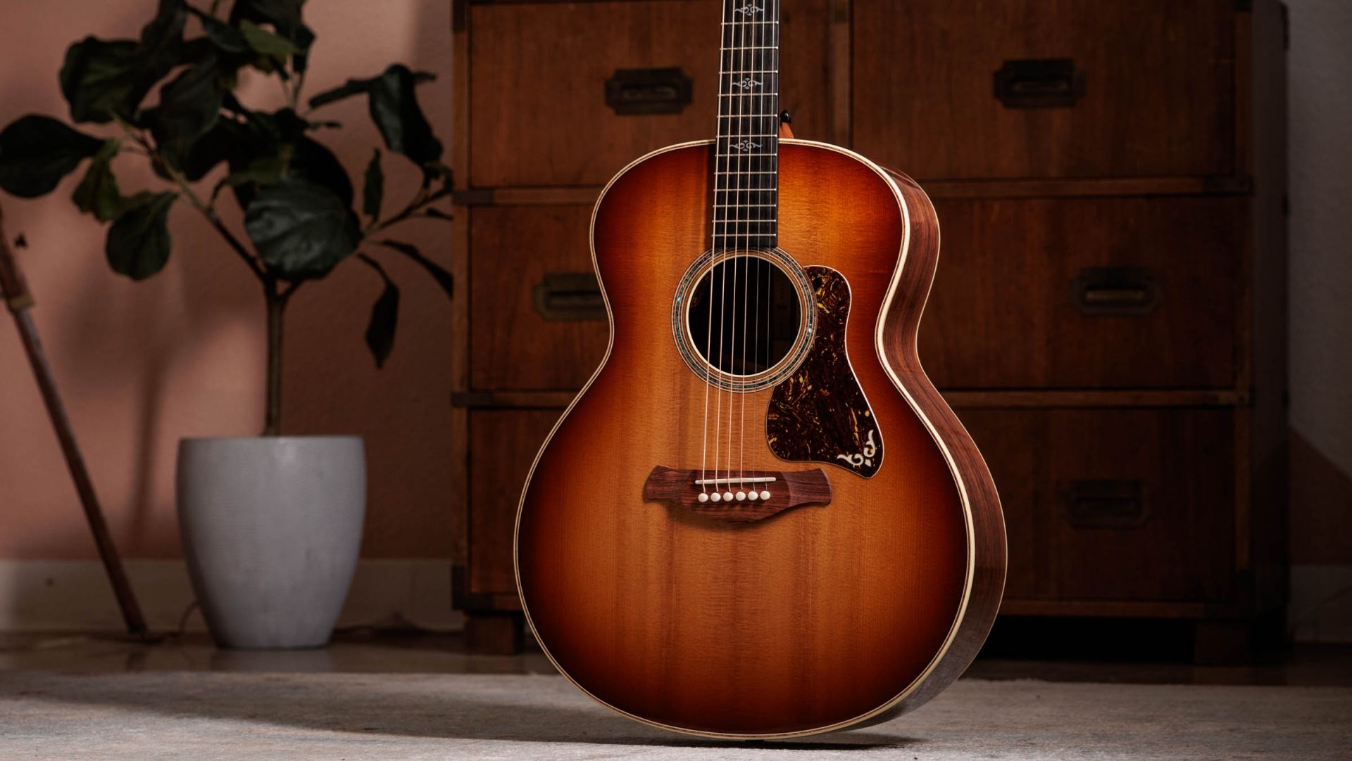 Taylor Gold Label : L'excellence acoustique au service des musiciens exigeants