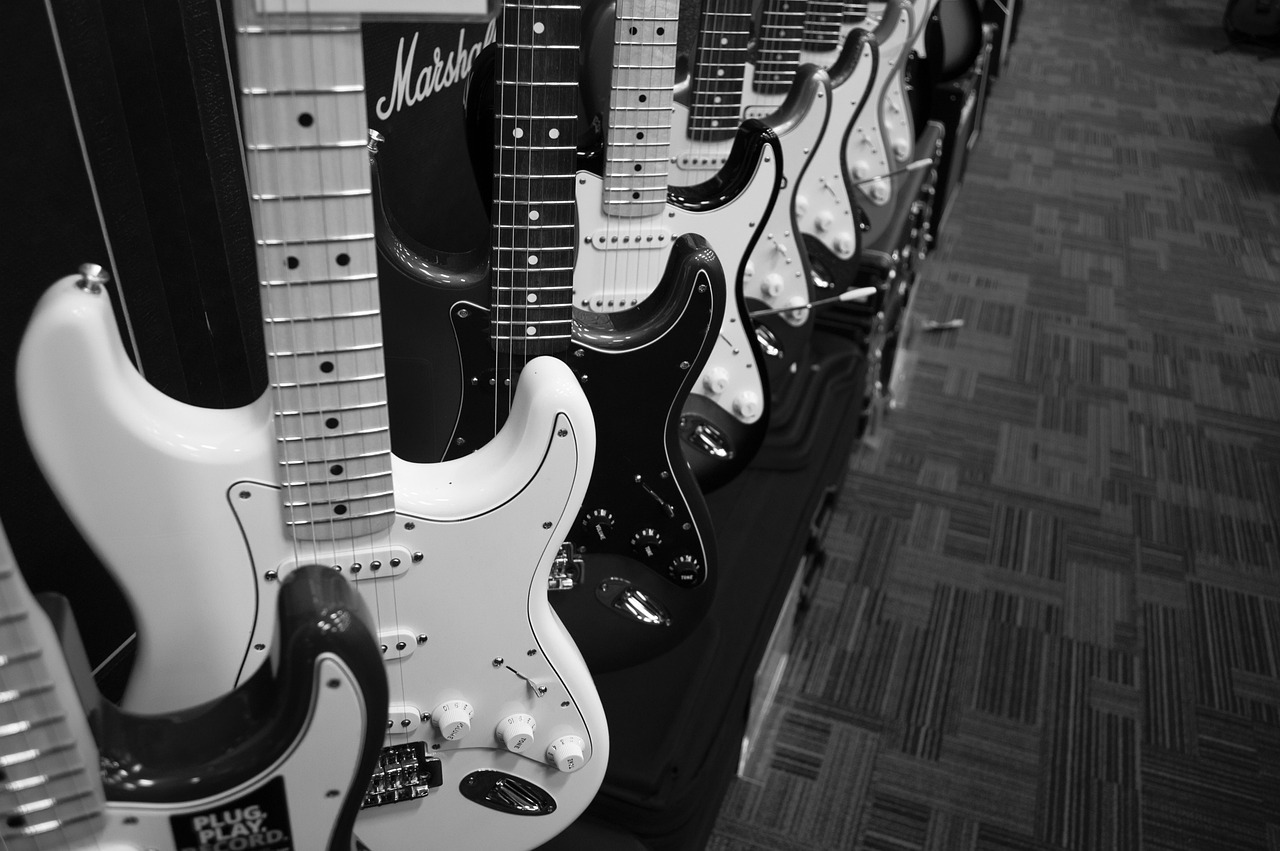 Les 5 meilleurs genres musicaux pour guitares électriques