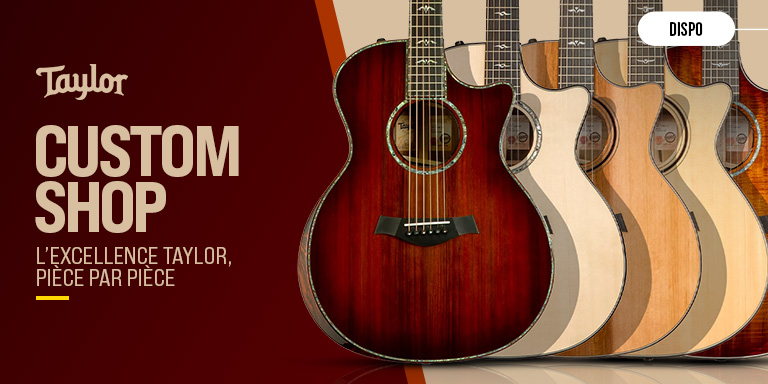 Taylor Custom Shop : que valent ces guitares uniques ?