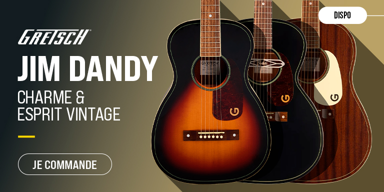  GRETSCH Jim Dandy : Push