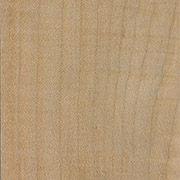 Taylor wood: Big Leaf Maple
