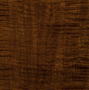 Taylor wood: Blackwood