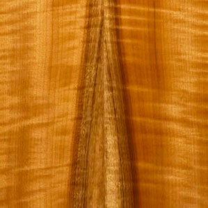 Taylor wood: Tasmanian Myrtle