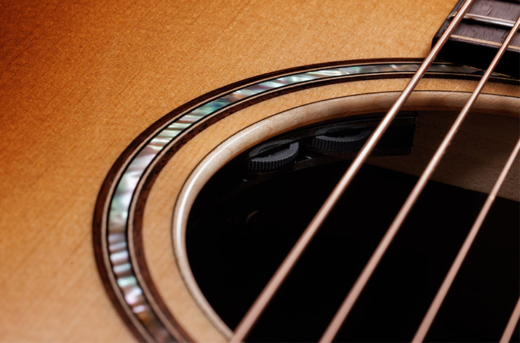 Taylor Claria Pickup System