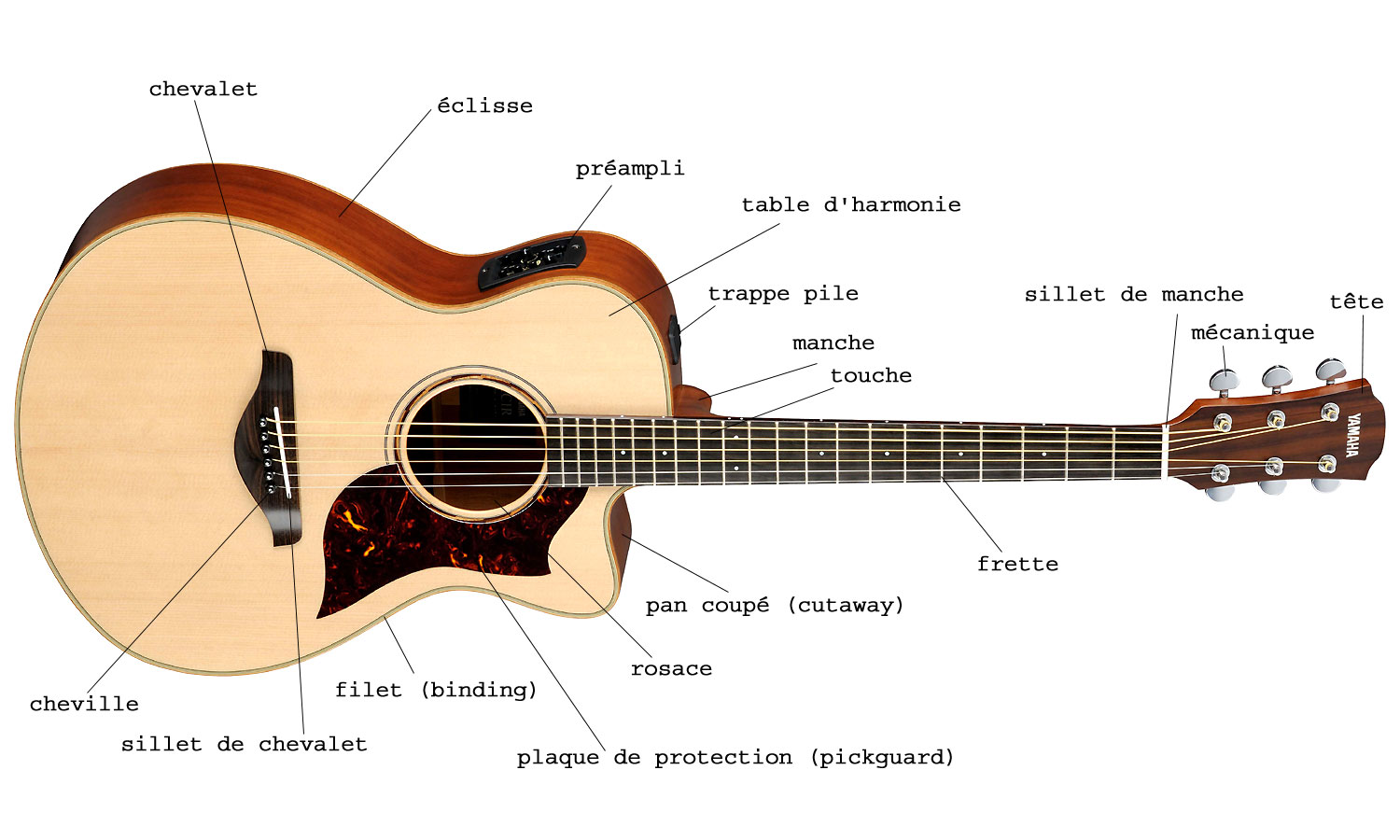 Composition d'une guitare acoustique