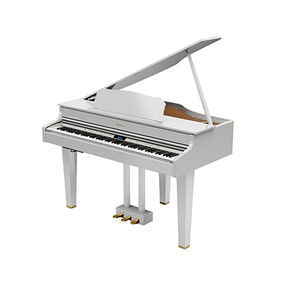 ROLAND GP607-PW