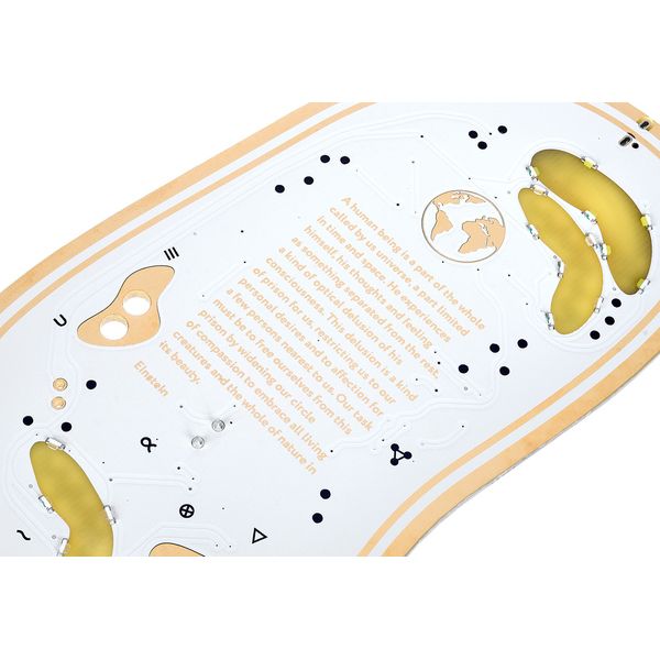 Playtronica Biotron Midi Controller - ContrÔleur Midi - Variation 2