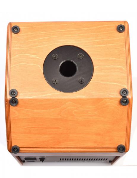 Combo ampli acoustique Acus One Forstrings 6T Stage - Wood