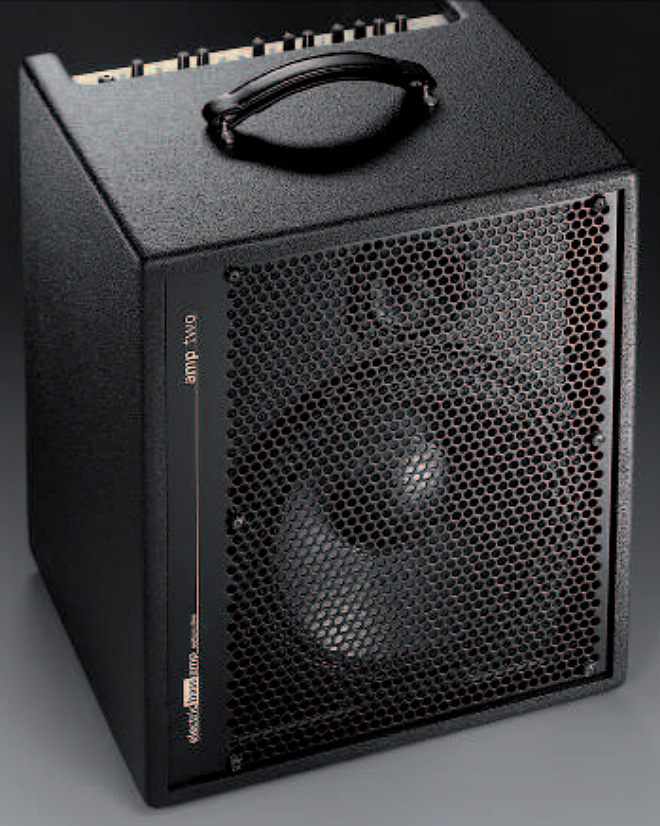 Aer Amp Two 240w 1x12 - Combo Ampli Basse - Variation 1