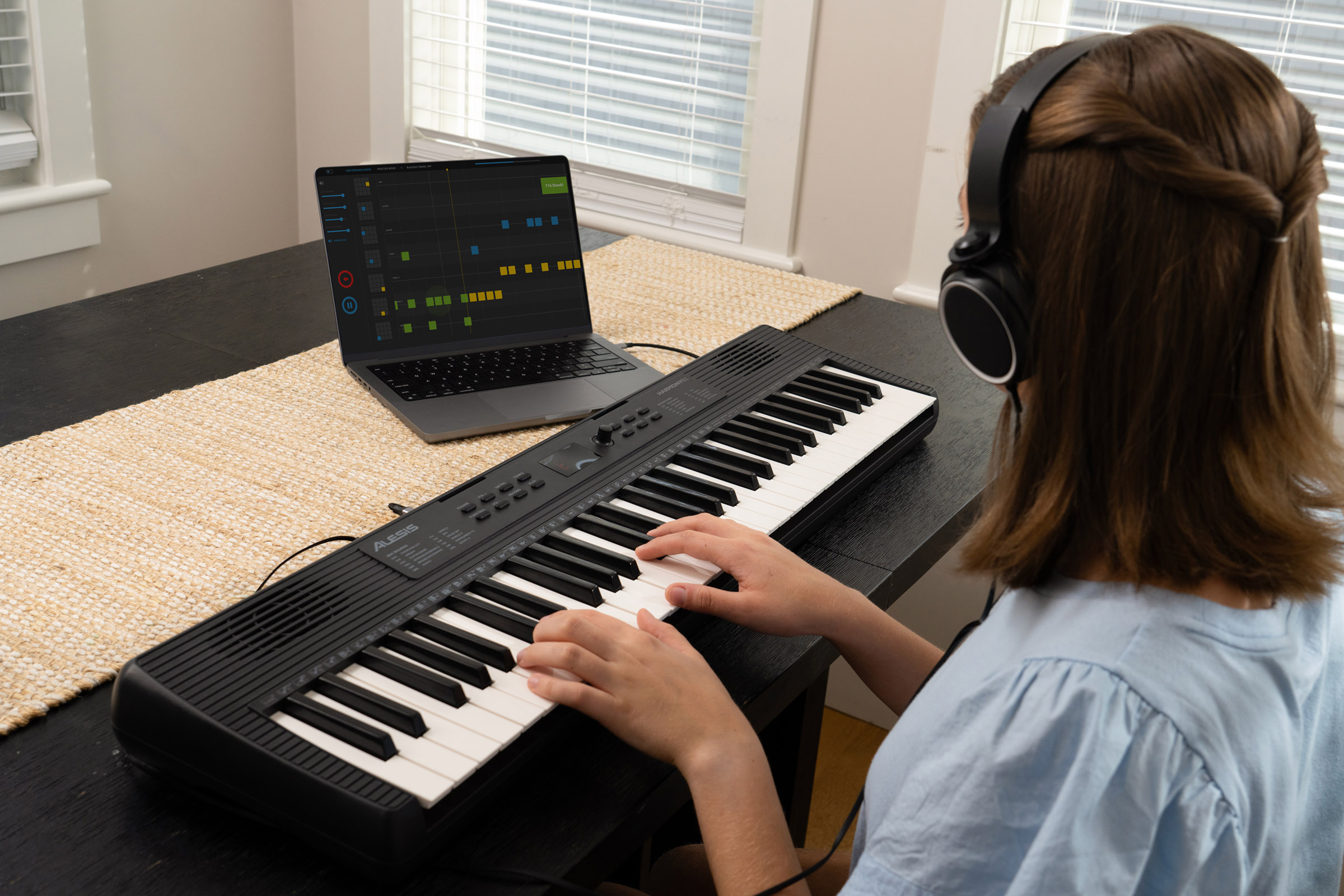 Alesis Harmony 61 Mk4 - Clavier Arrangeur - Variation 8