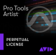 Artist Perpetual License