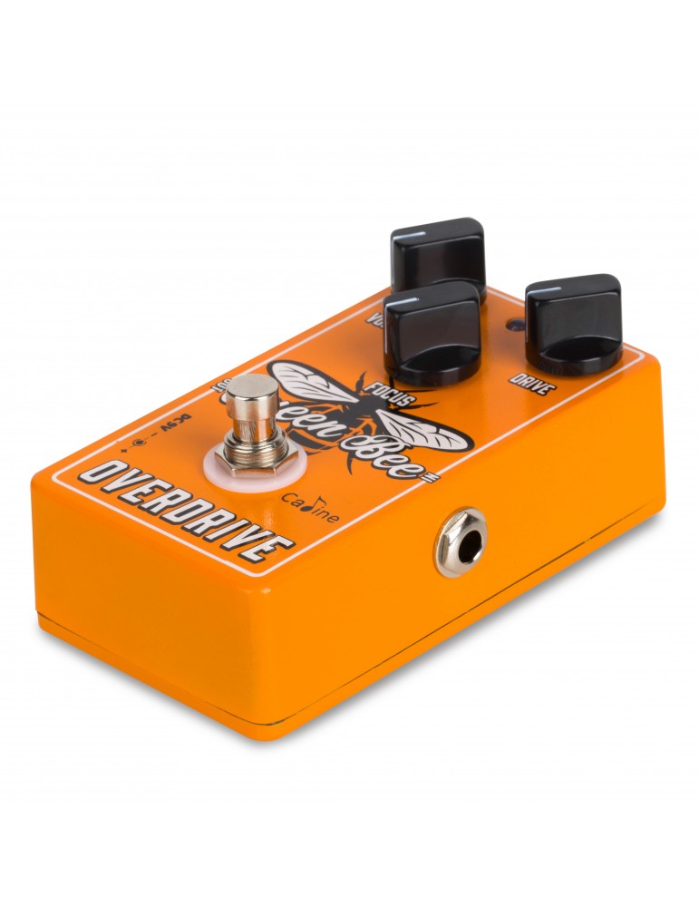 Caline Cp503 Queen Bee Overdrive - PÉdale Overdrive / Distortion / Fuzz - Variation 2