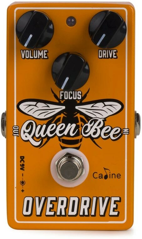 Caline Cp503 Queen Bee Overdrive - PÉdale Overdrive / Distortion / Fuzz - Main picture