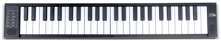 Carry On Piano 49 Touch Black - Clavier Arrangeur - Main picture