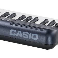 Casio Ct-s300 - Clavier Arrangeur - Variation 4
