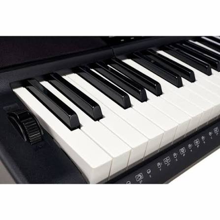 Casio Ct-x800 - Clavier Arrangeur - Variation 3