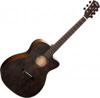 Core-OC Spruce - open pore trans black