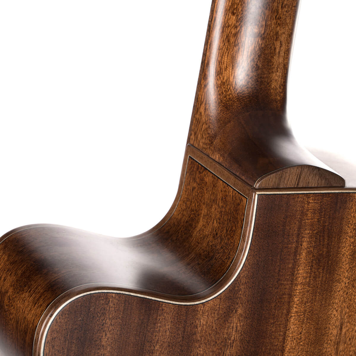 Cort Flow Oc Om Cw Cedre Acajou Eb - Natural Satin - Guitare Folk - Variation 7