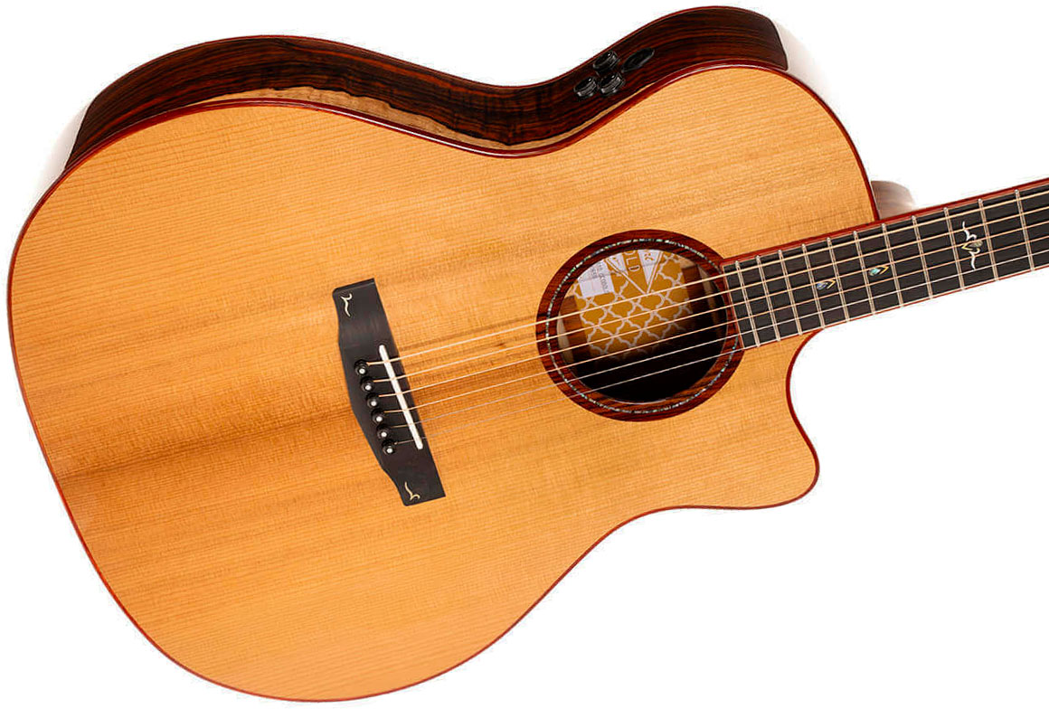 Cort Gold A10 Cocobolo Grand Auditorium Cw Epicea Cocobolo Eb - Natural - Guitare Folk - Variation 2
