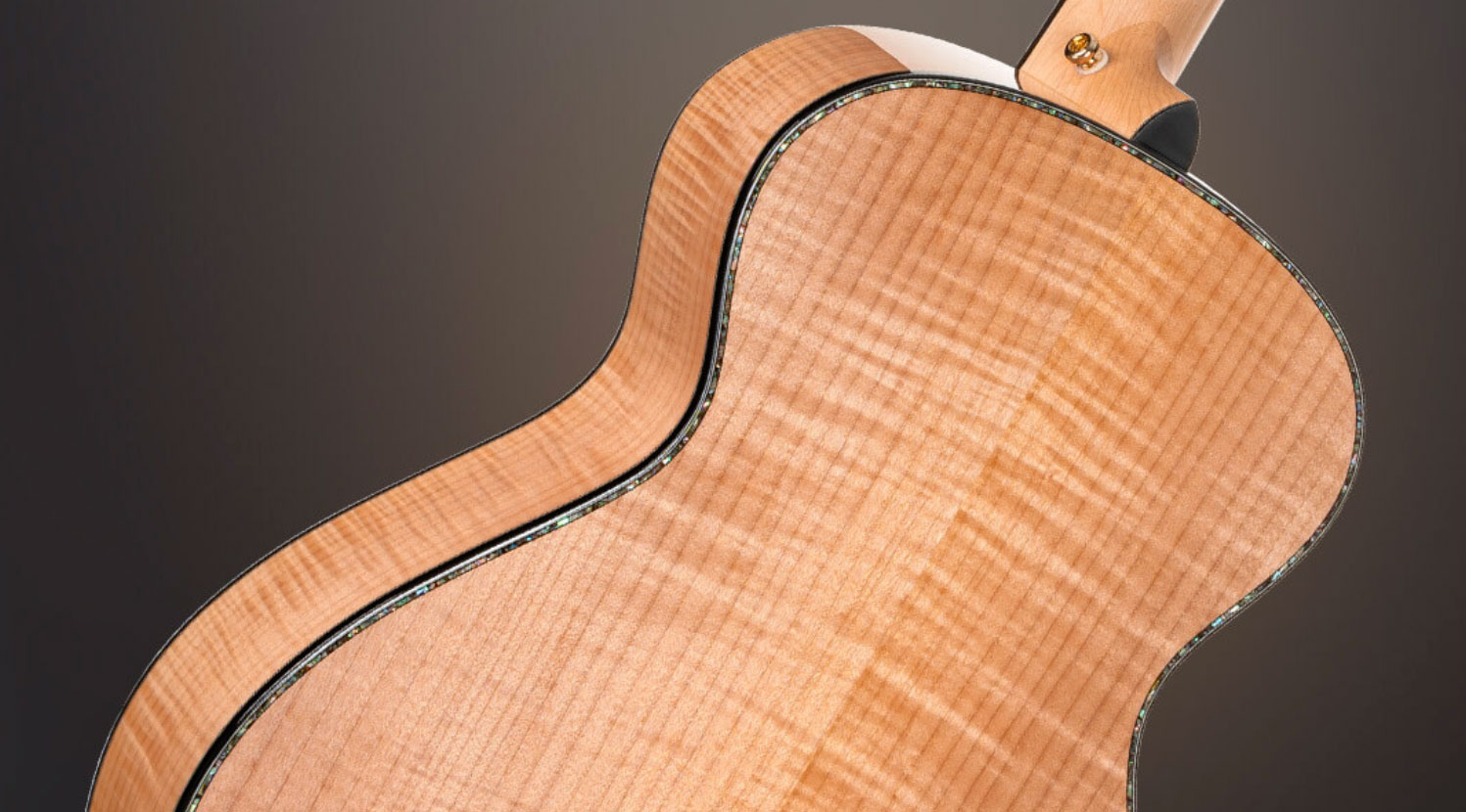 Cort Gold Passion Grand Concert Epicea Erable Eb - Natural - Guitare Folk - Variation 6