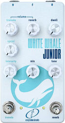 Pédale reverb / delay / echo Crazy tube circuit White Whale Junior (Reverb, Tremolo)