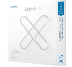 Cordes guitare acoustique D'addario 12-53 Light, Jacob Collier 5-String Taylor,  Coated Acoustic Guitar Strings - Jeu de 5 cordes