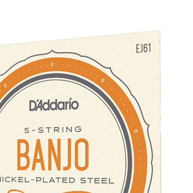D'addario Ej61 5-string Bango Medium Nickel Plated Steel 010-023 - Corde Banjo - Variation 1