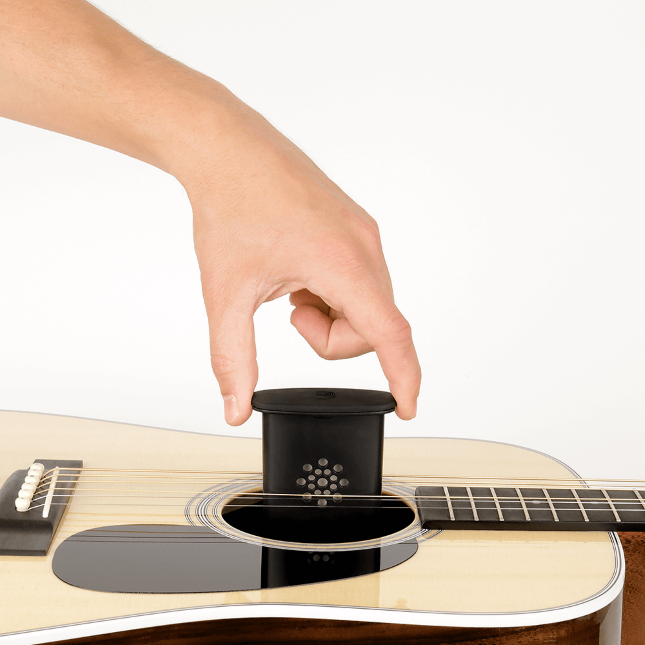 D'addario Guitare Acoustique - Humidificateur - Variation 3