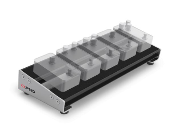 D'addario Xpnd Core Pedalboard - Pedalboards - Variation 1