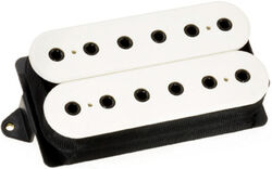 Evolution Bridge - White