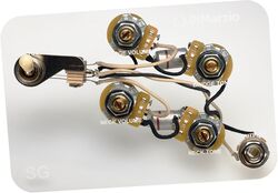 Potentiomètre Dimarzio GW2104