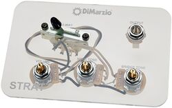 Potentiomètre Dimarzio GW2108A5