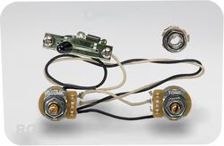 Potentiomètre Dimarzio GW2110