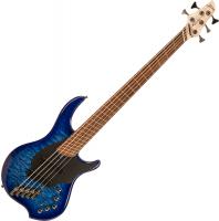 Combustion 5 2-Pickups (PF) - indigo burst