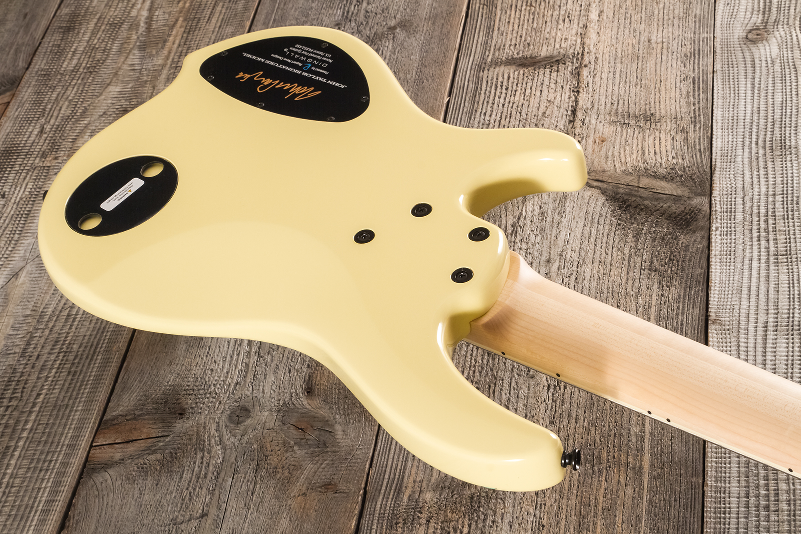 Dingwall John Taylor Rio Dream Jt3 5c Ltd Signature 3pu Active Mn - Creme - Basse Électrique Solid Body - Variation 11