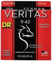 VTE-9 Electric Guitar 6-String Set Veritas 9-42 - jeu de 6 cordes
