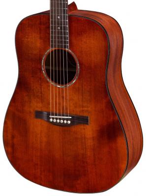 Guitare acoustique Eastman PCH1-D DREADNOUGHT EPICEA SAPELE RW + HOUSSE - Classic