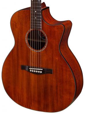 Guitare electro acoustique Eastman PCH1-GACE GD AUD. CW EPICEA SAPELE RW + HOUSSE - Classic
