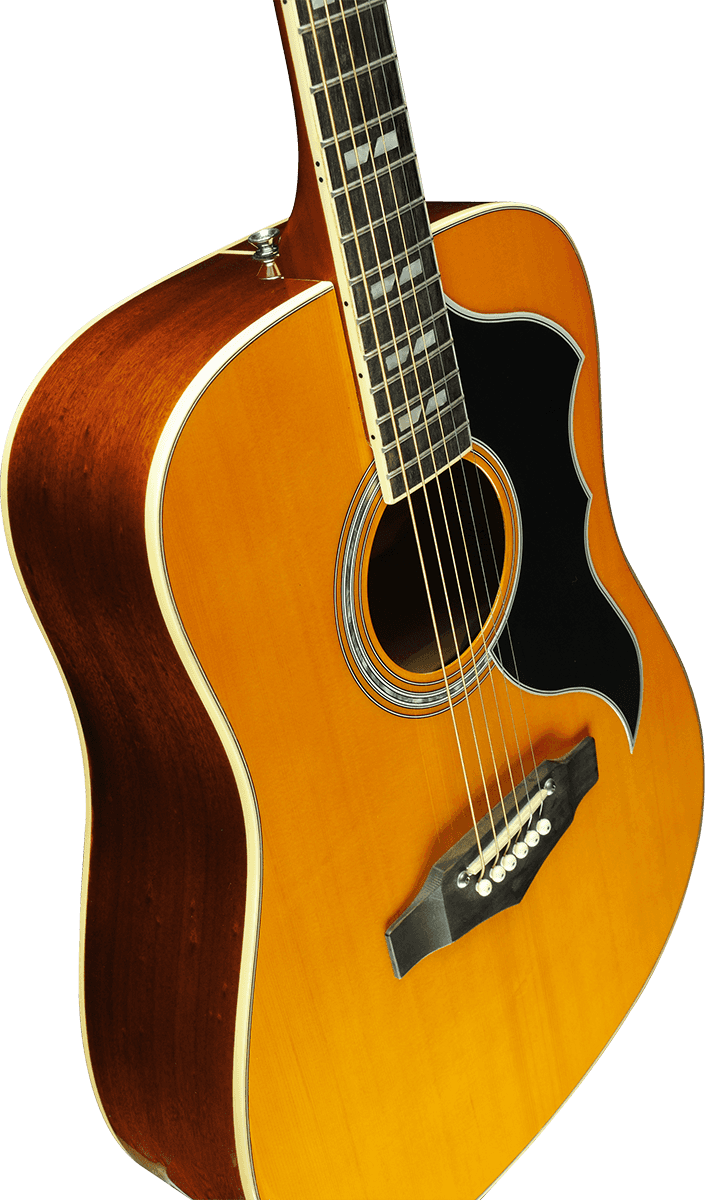 Eko Ranger Vr Vi Epicea Sapelli - Vintage Natural - Guitare Acoustique - Variation 4