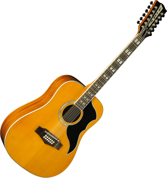 ranger-vr-xii-12-cordes-