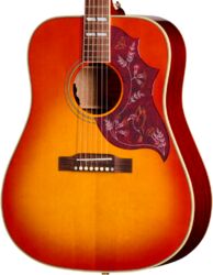 IBG Hummingbird Standard - cherry sunburst