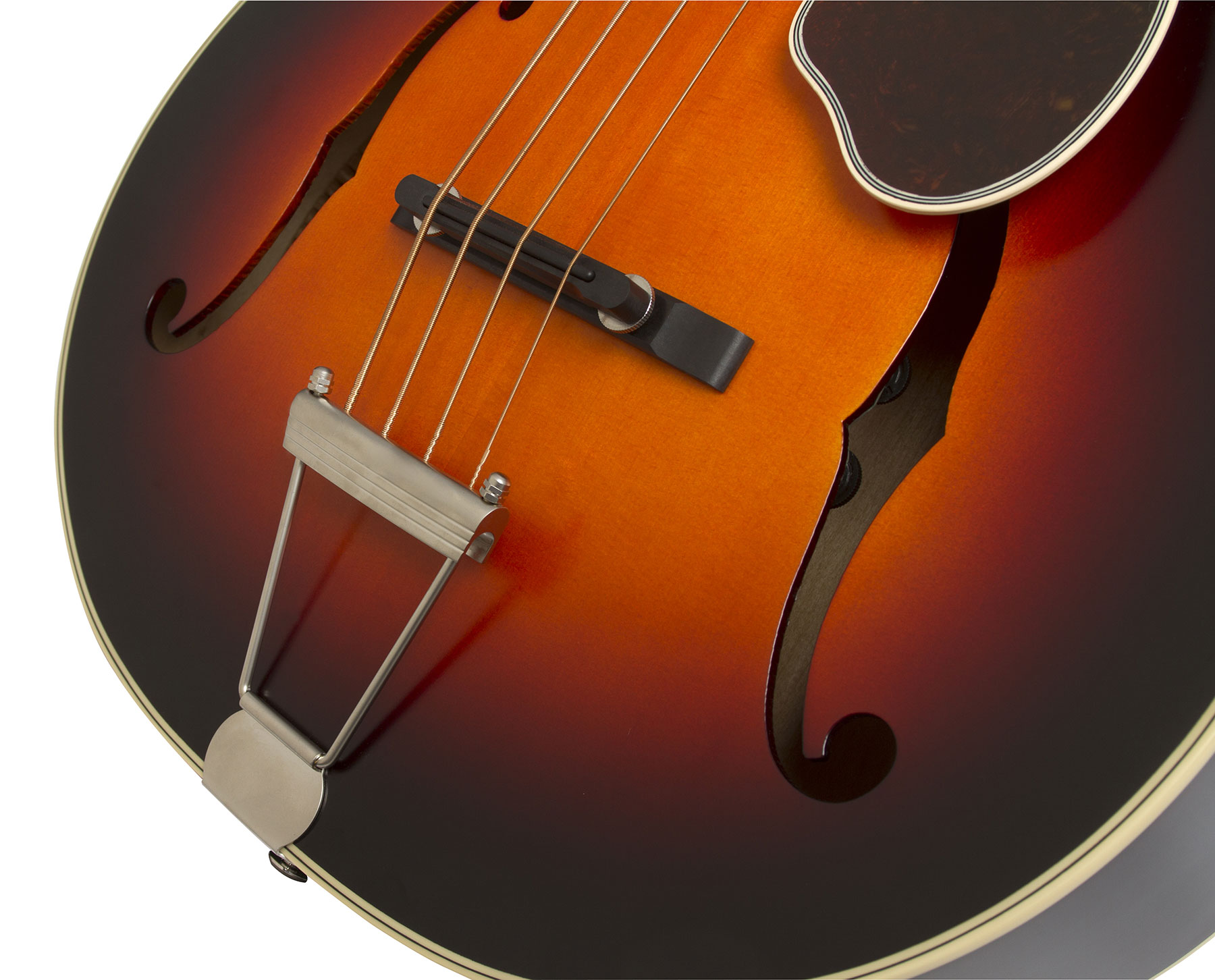 Epiphone Masterbilt Century De Luxe Classic 4-string Acoustic/electric Bass Eb - Vintage Sunburst - Basse Électrique 1/2 Caisse - Variation 2