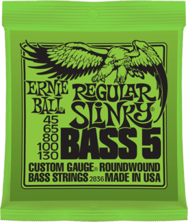 Ernie Ball Jeu De 5 Cordes Bass (5) 2836 Regular Slinky 45-130 - Cordes Basse Électrique - Main picture