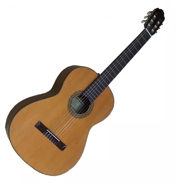 Guitare classique format 4/4 Esteve                         1GR01 Cedro - Natural