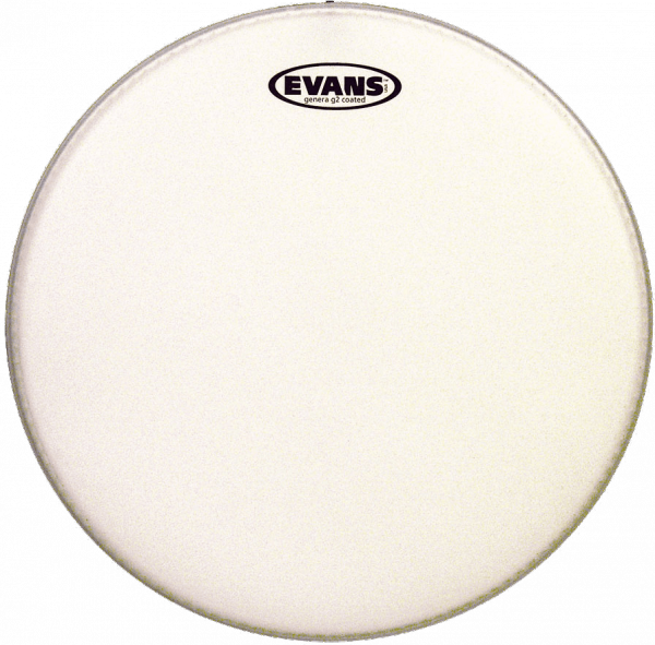 Pelle Evans G1 Per Rullante 10" - Testina Per Tom Batteria, Rivestita E Nuova