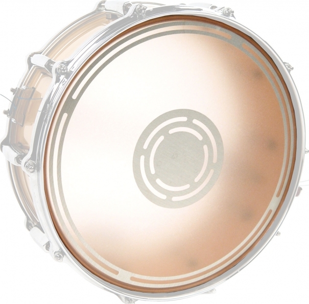 Evans B14ecsrd Edge Control Reverse Dot  Snare Drum - 14 Pouces - Peau Caisse Claire - Main picture