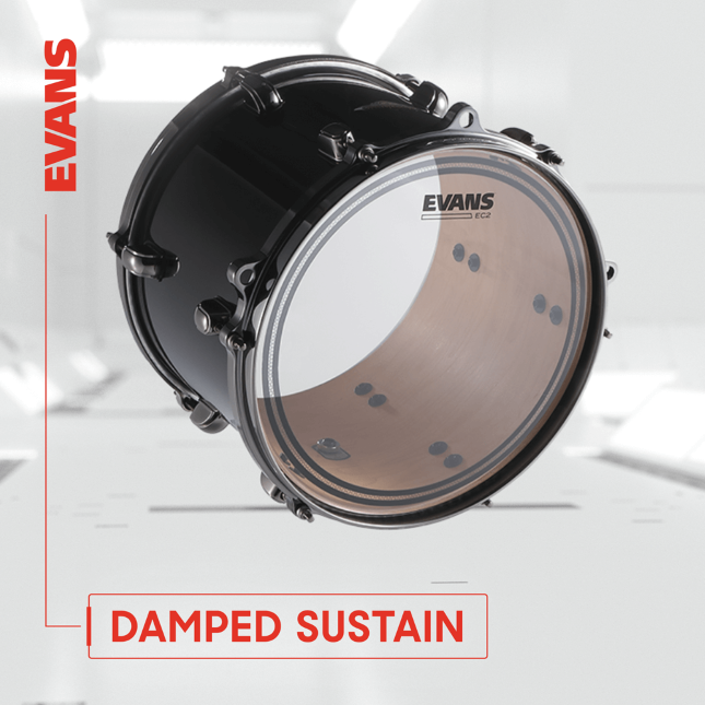 Evans Tt10ec2s    Ec2  Frappe Transparente 10 - 10 Pouces - Peau Tom - Variation 2