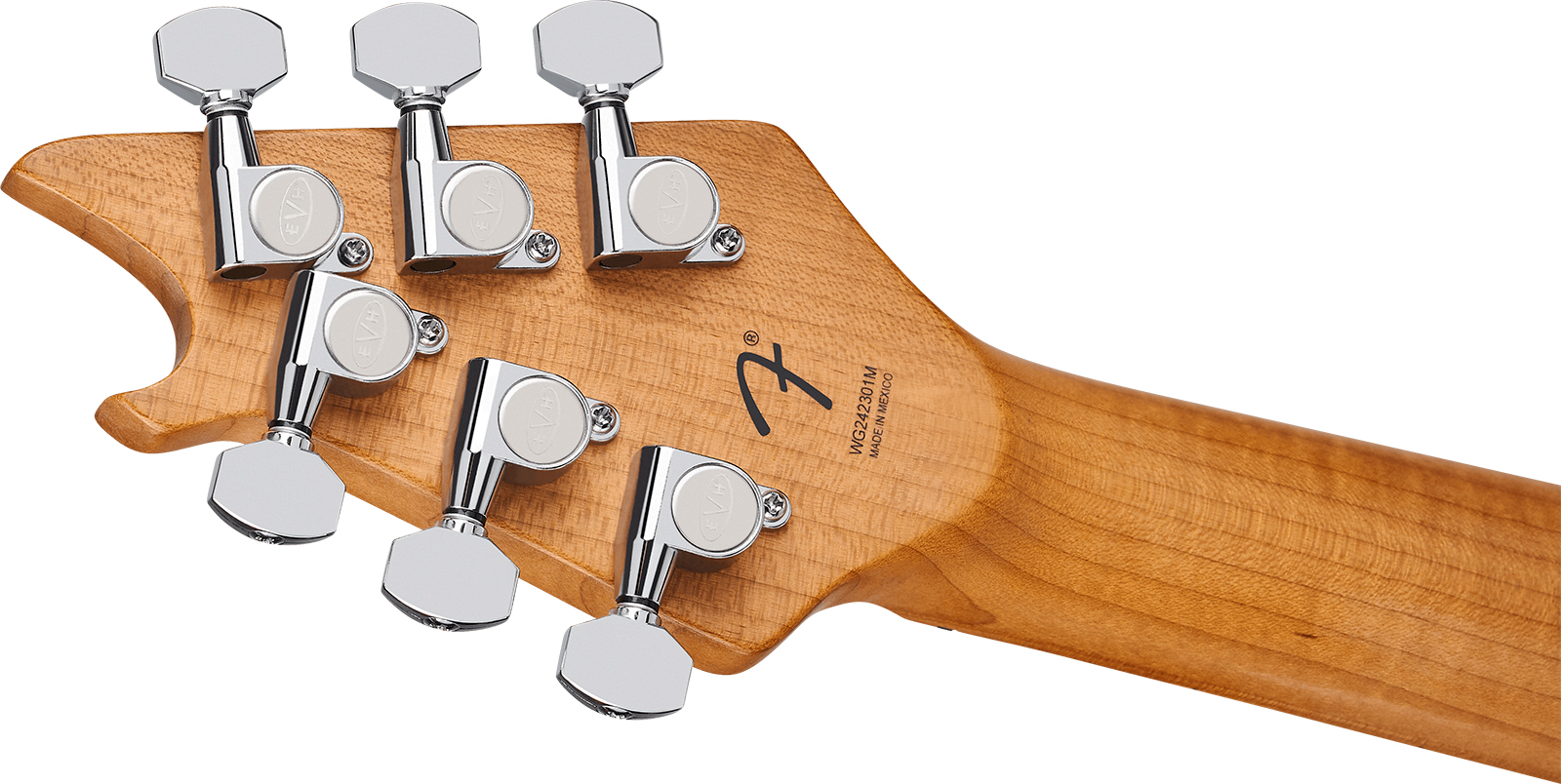 Evh Wolfgang Special Tom Baked Maple Mex 2h Ht Mn - Kandy Green - Guitare Électrique MÉtal - Variation 3